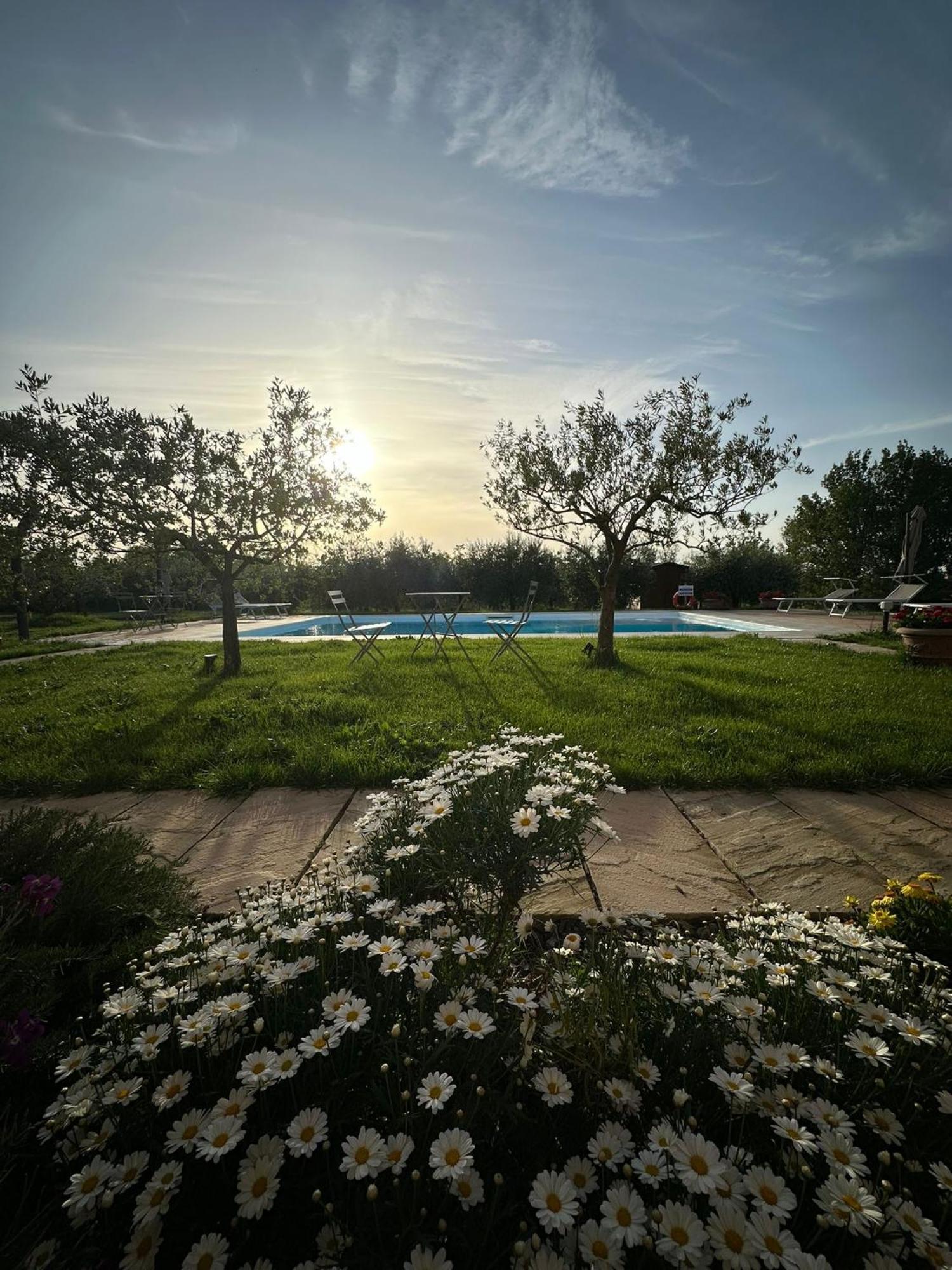 Podere Selvatici Imola Exterior foto